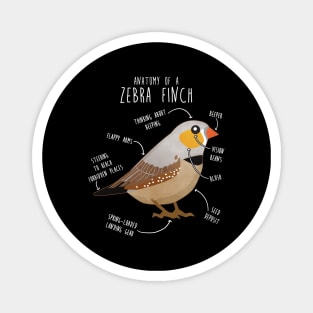 Zebra Finch Anatomy Magnet